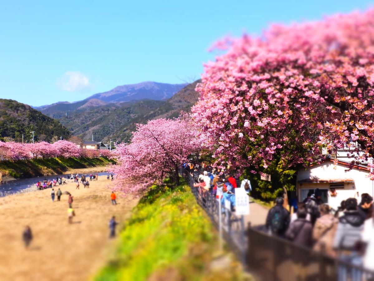ホテル 伊東小涌園 伊東市 エクステリア 写真